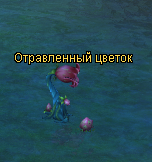 image (2).png