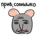 stik323