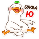 stik536
