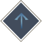 Scroll to top icon